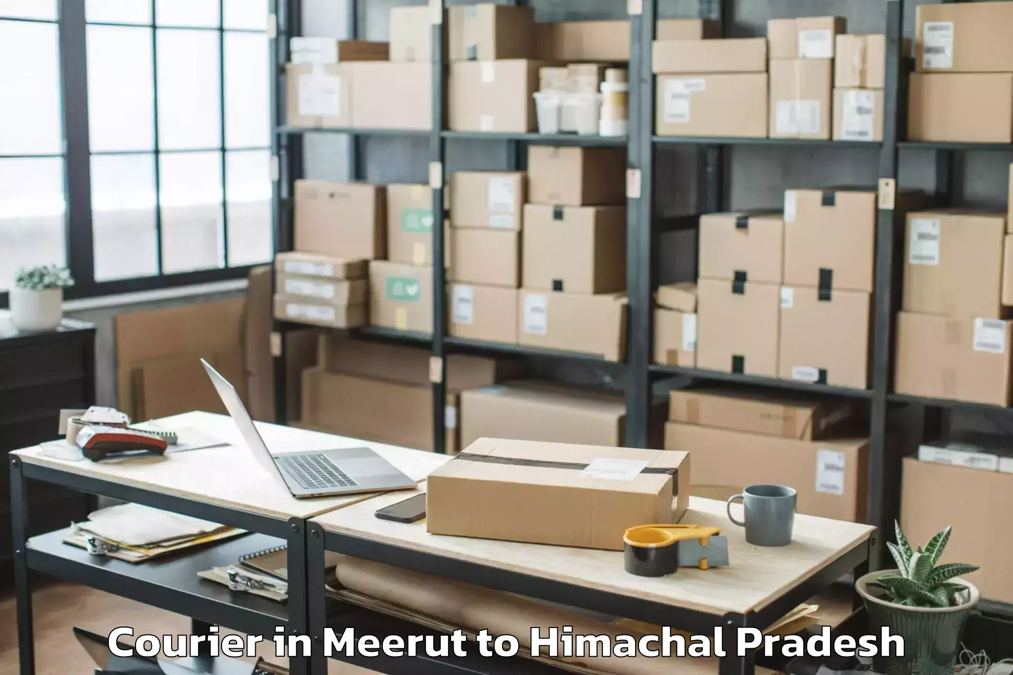 Top Meerut to Chail Courier Available